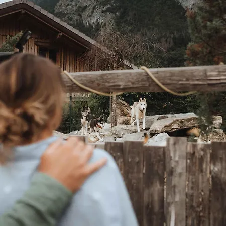 La Mine De Buck Πανσιόν
